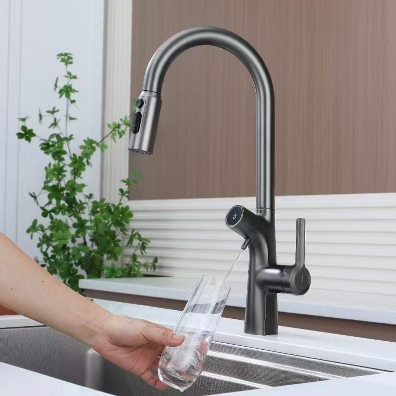 Digital Display Pull-Out Faucet with Built-in Water Purifier